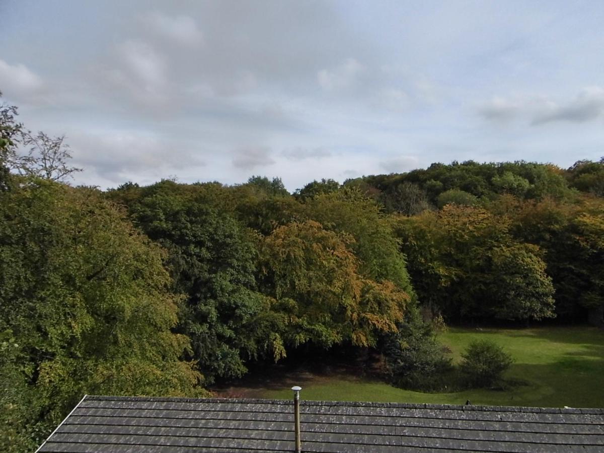The Mill At Glynhir Bed & Breakfast Ammanford Exterior foto